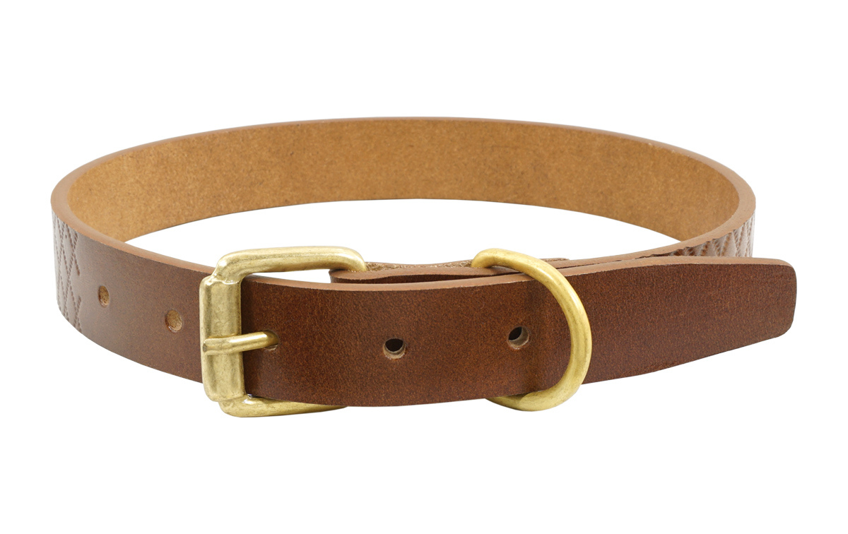 Ma-09 L Gambit Dog Collar, Brown - Large