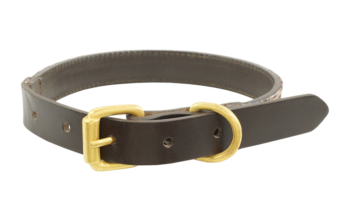 Ma-16-5 S Dexter Dog Collar, Dark Brown - Small