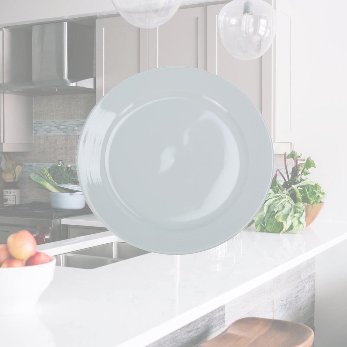 Picture of Yanco PA-110 10.5 in. Porcelain Dinner Plate, Super White Color - Pack of 12