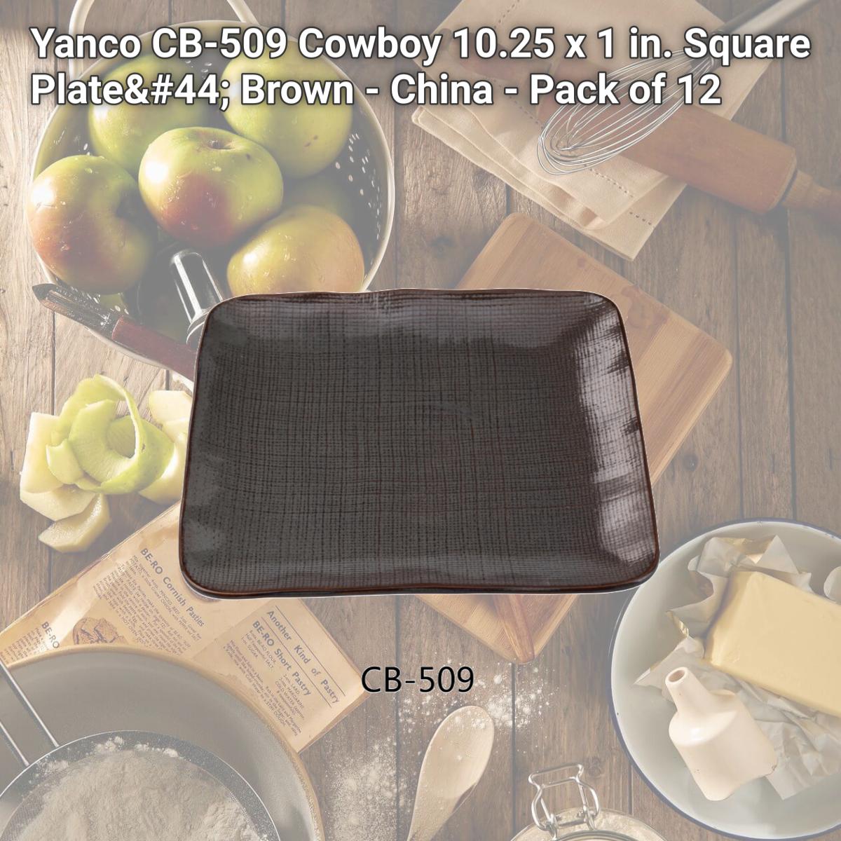 Picture of Yanco CB-509 Cowboy 10.25 x 1 in. Square Plate, Brown - China - Pack of 12
