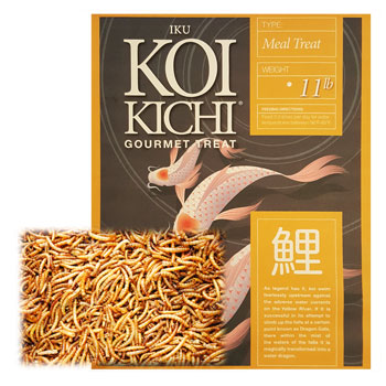 Iku Koi Kichi Kkmeal 11 Lbs Gourmet Delight Fish Food