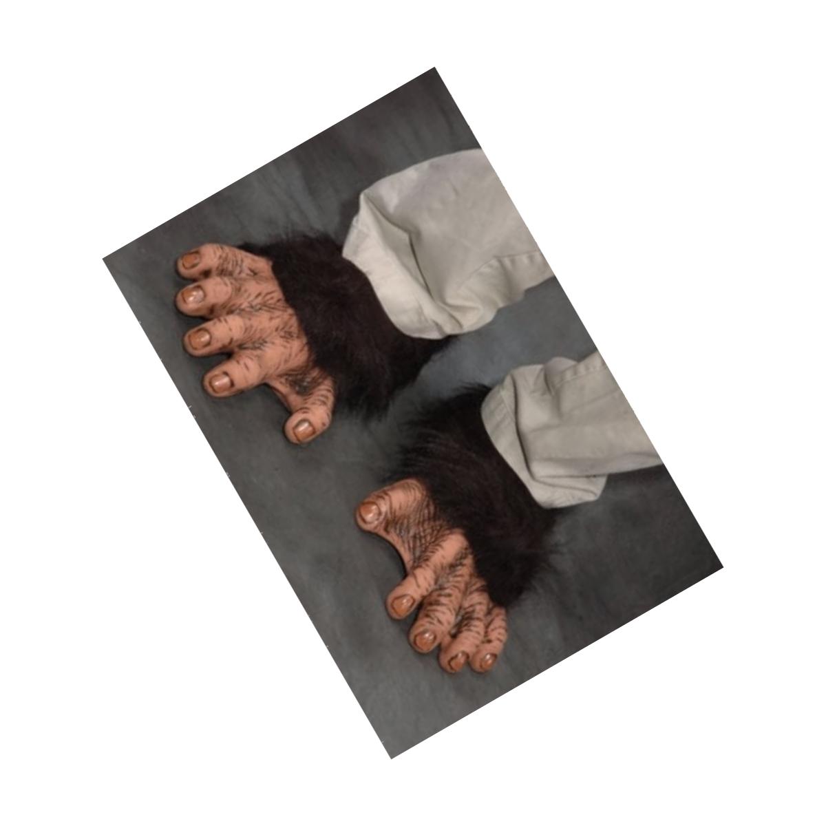 Picture of Zagone Studios F1005 Super Deluxe Footwear Chimp Feet
