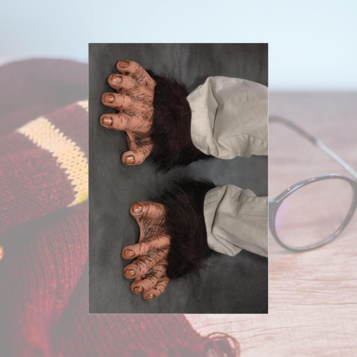 Picture of Zagone Studios F1005 Super Deluxe Footwear Chimp Feet