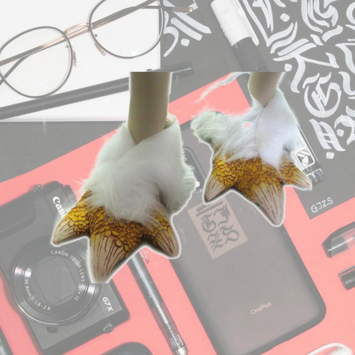 Picture of Zagone N1161 Chicken Feet Talons