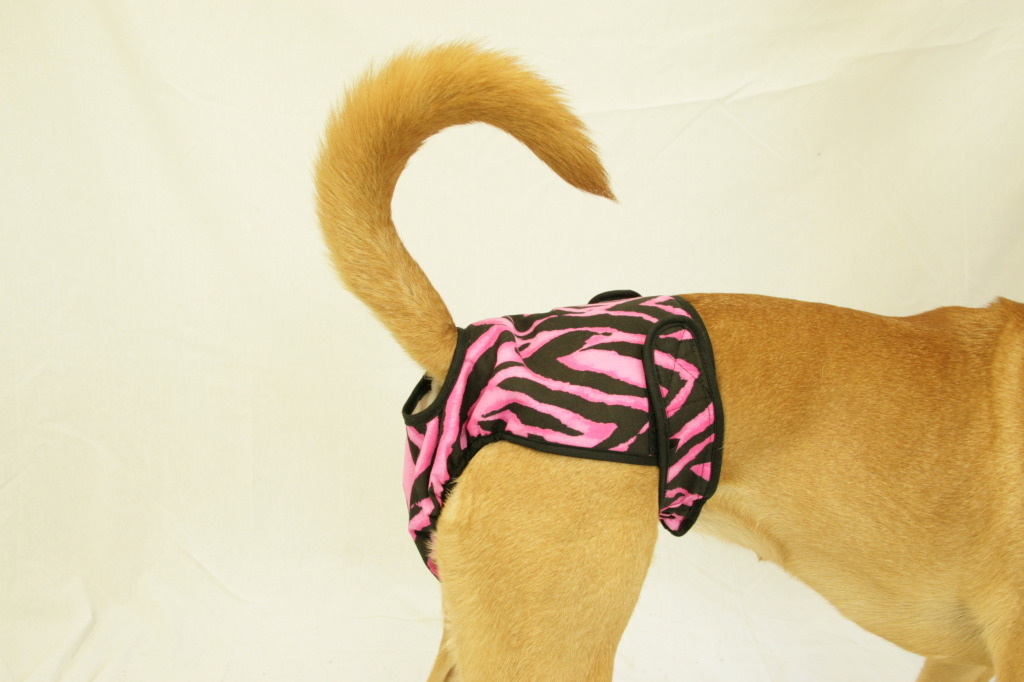 41106tgr Washable Female Dog Diaper, Tiger - Fits Petite