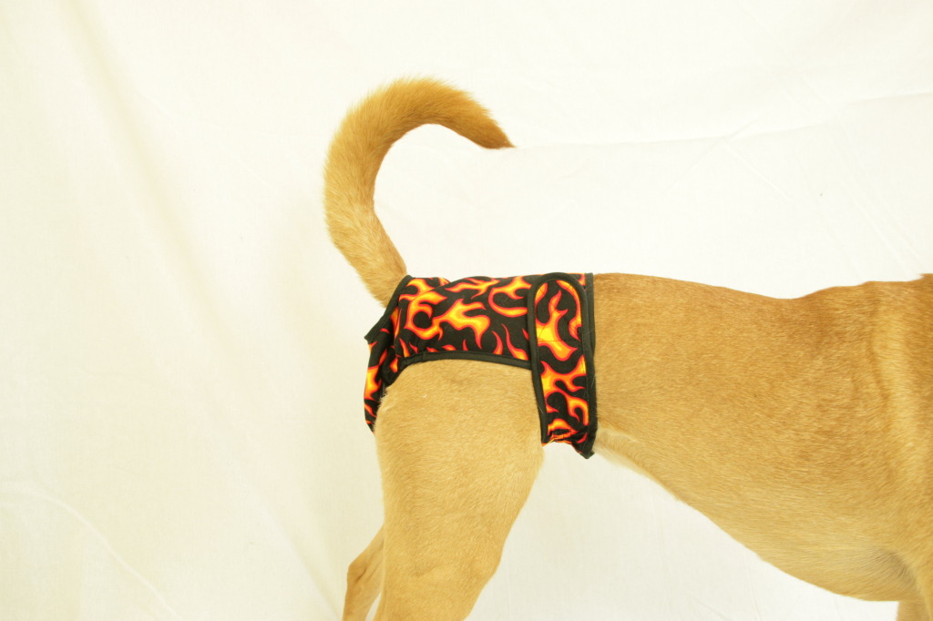 41102hfl Washable Female Dog Diaper, Hot Flames - Fits Toy
