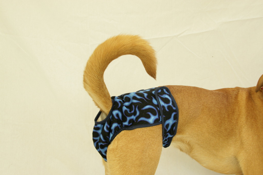 41112bfl Washable Female Dog Diaper, Blue Flames - Medium