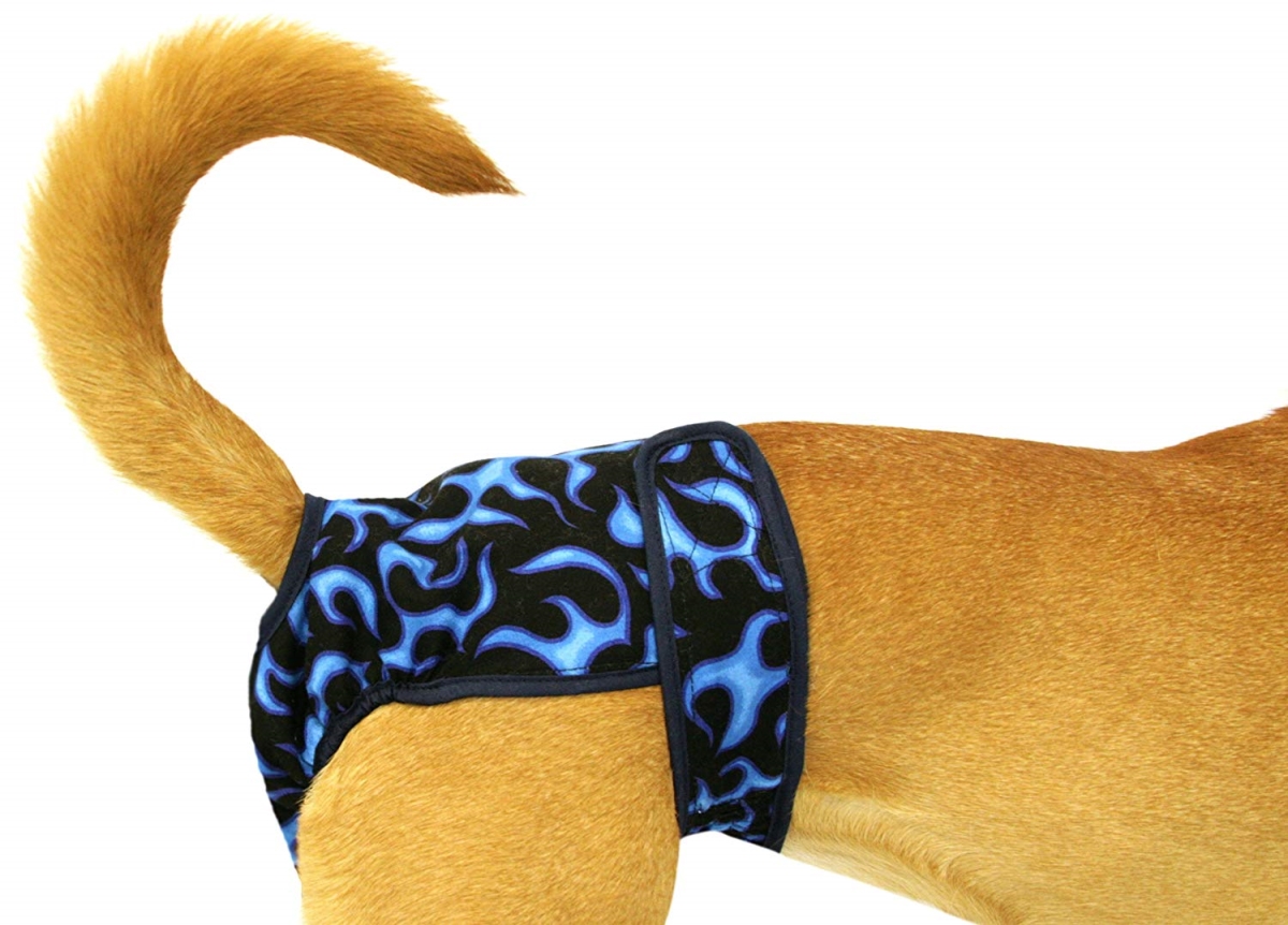 41206bfl Washable Male Dog Belly Band, Blue Flames - Fits Petite