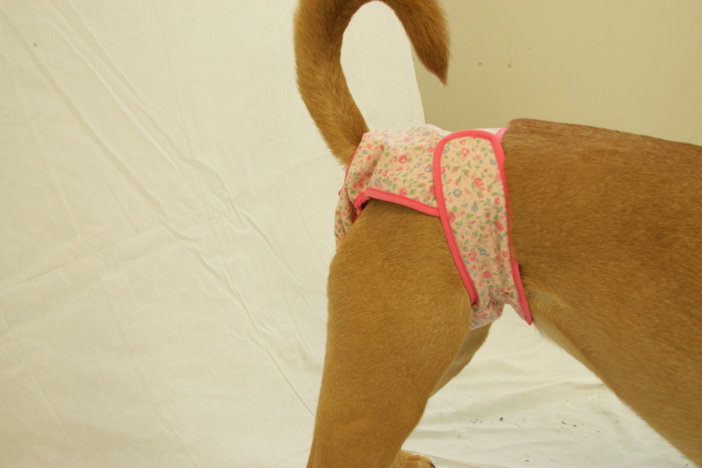 41120pnk Washable Female Dog Diaper, Pink - Fits Squatty Body