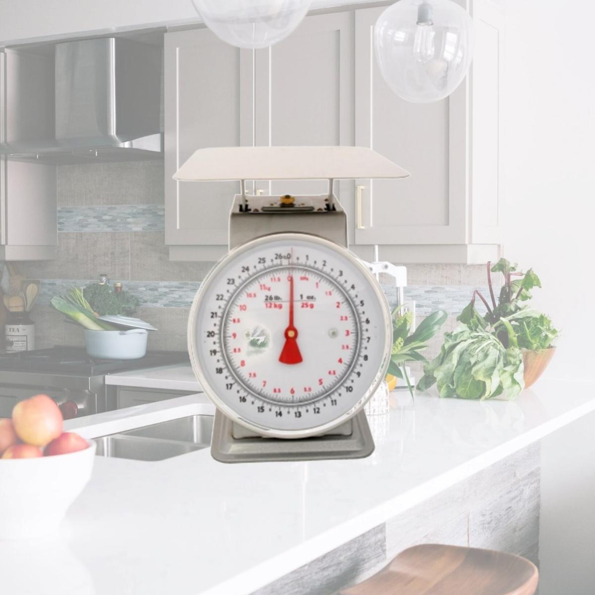 Picture of Zenport Industries AZD25 Dial Scale 25 lb - 12 Kg