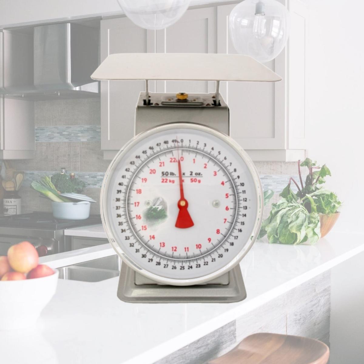 Picture of Zenport AZD100-4PK Mechanical Platform Dial Scale 100 lbs.- Box of 4