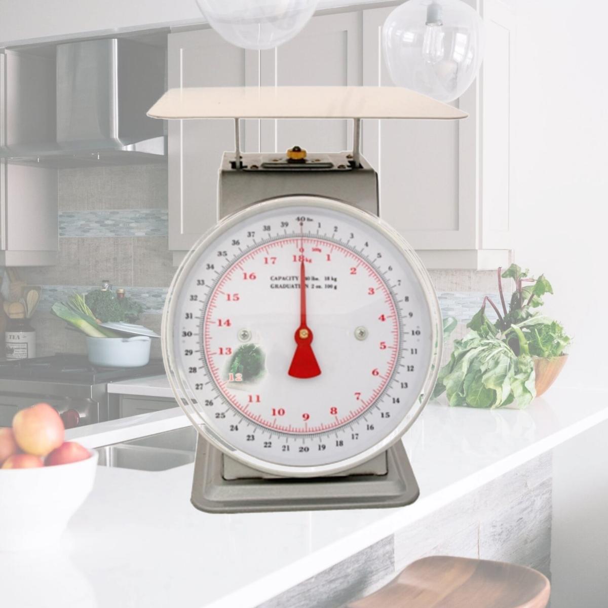 Picture of Zenport AZD40 Accuzen Dial Scale 40 Pound
