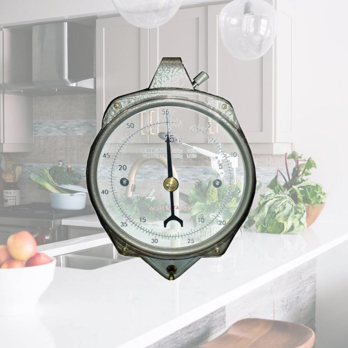 Picture of Zenport AZDH100 Accuzen Mechanical Hanging Dial Scale 100 Pound