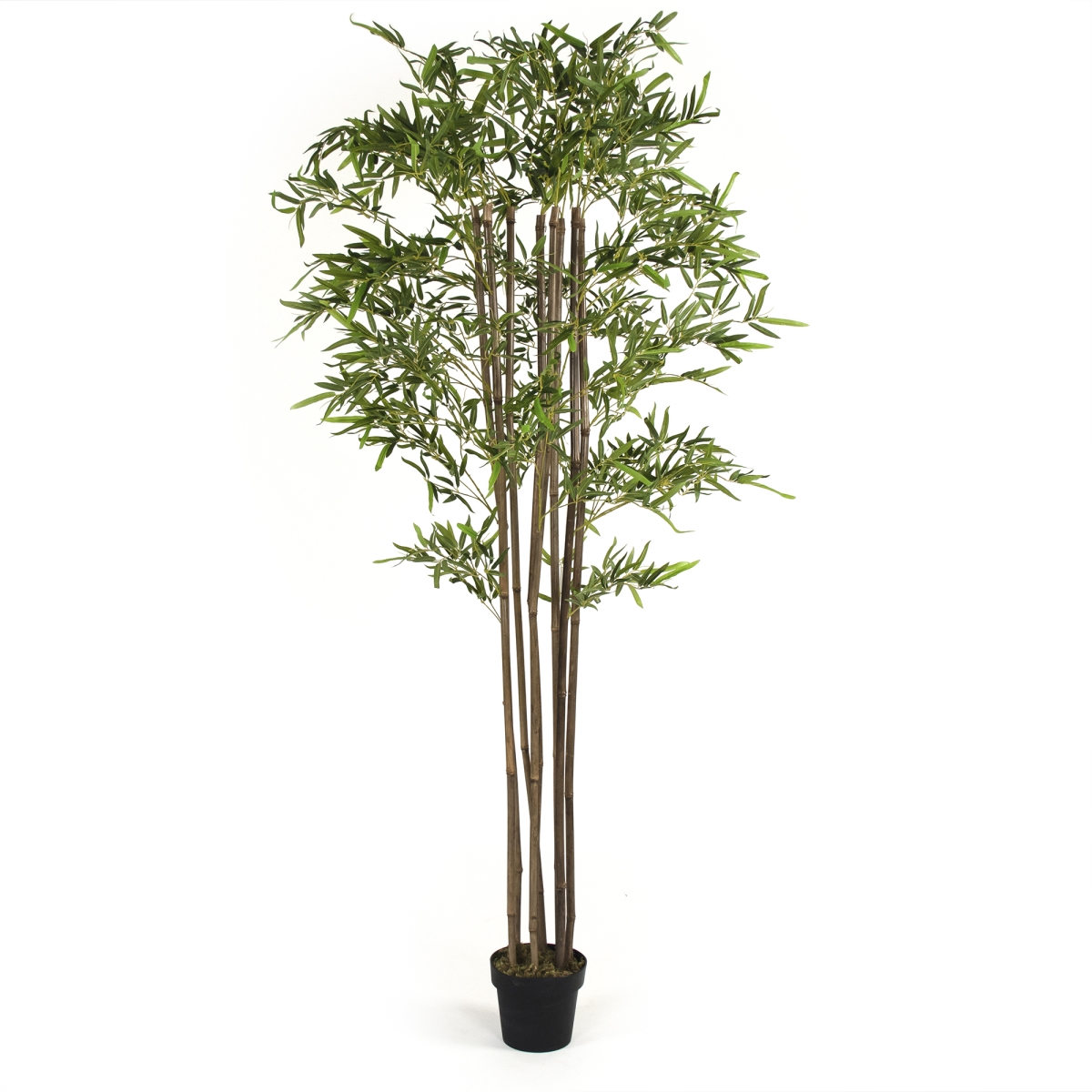 Zen-180503-41 Green Leafed Bamboo Plant In Pot, 41 In.