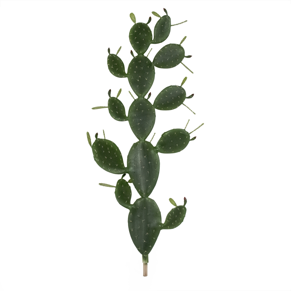 Zen-180503-52 Green Cactus Plant In Pot, 52 In.