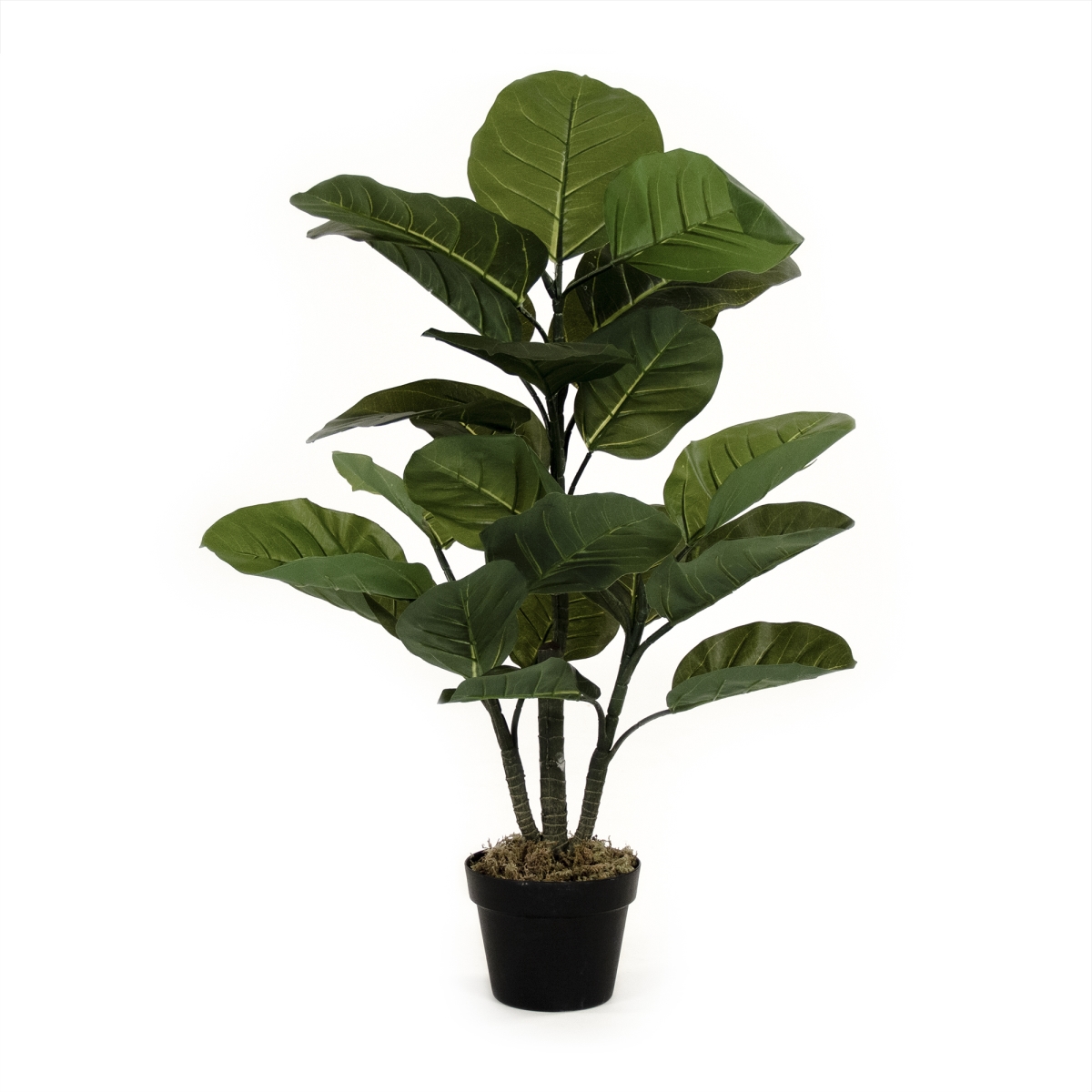 Zen-180503-58 Brown Leafed House Plant In Pot, 58 In.