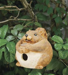 Evergreen Enterprises Inc EG841176 Squirrel Portly Birdhouse With Functional Cleanout