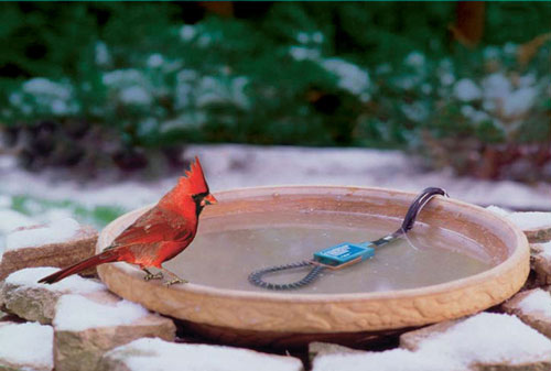 GulfStream Bird Bath Heater