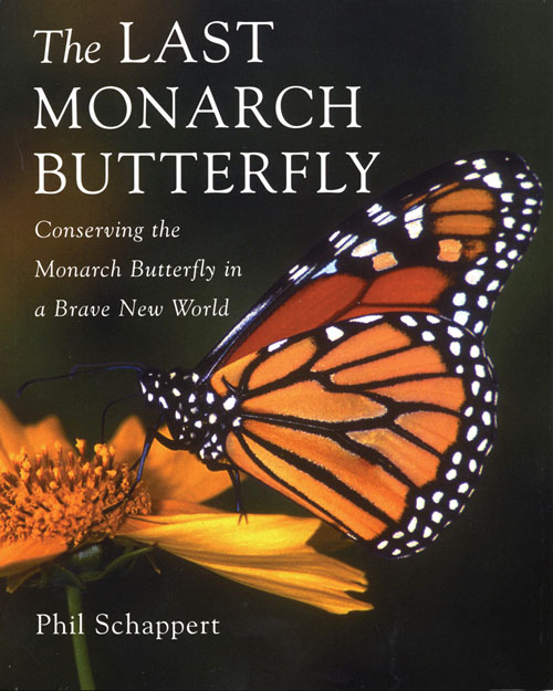 Monarch Butterflies - An Overview