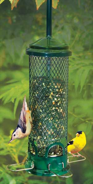 Brome Squirrel Buster Mini