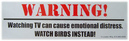 Looker Bumper Sticker Decal Bumper Sticker