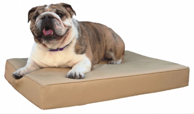 Orange County K 9 Memory Foam Dog Bed King Size Buckskin Orange County K 9 Memory Foam Dog Bed King Size Buckskin