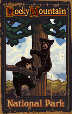 0003-0492 Bears In The Tree Planked Wood 14 X 23 Sign