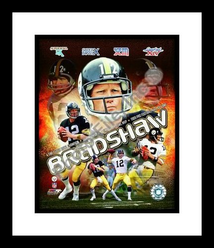 Terry Bradshaw Pittsburgh Steelers NFL Framed 8x10 Photograph Collage