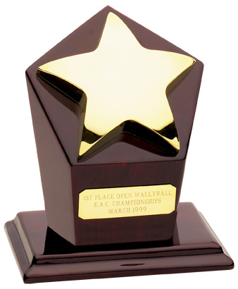 74503 Gold Star 3rd Place Award