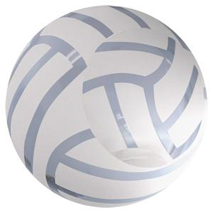 Chass 85220 Volleyball Award Paperweight