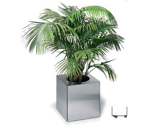 Blomus 65103 planter on wheels 60 x 60 x 50 cm