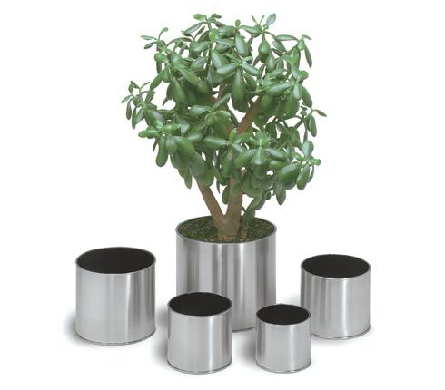 Blomus 66830 Stainless steel planter 6.3 inch