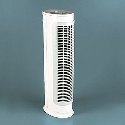 HOLMES Replacement HEPA Carbon Filter for 99 HEPA Air Purifiers  HAPF30PDQU