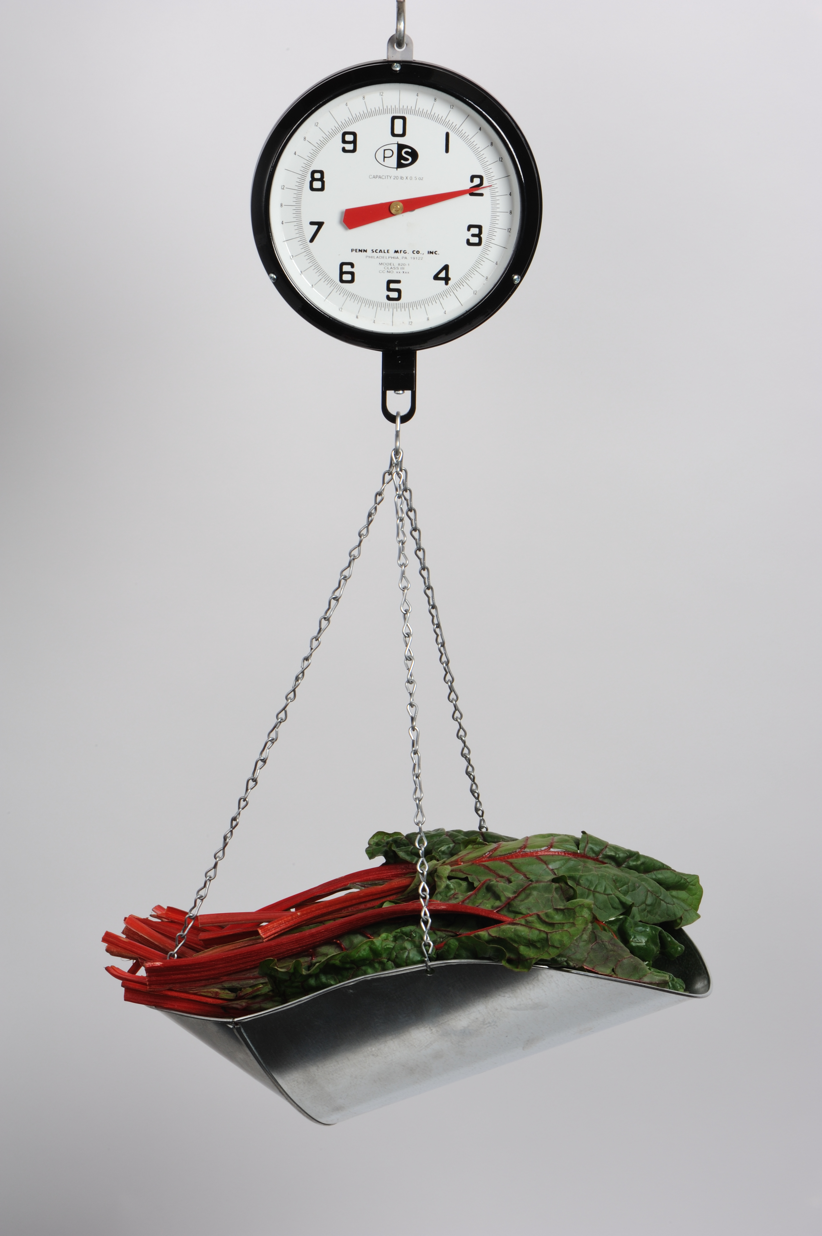 820 Vg 20 Pound 8 Inch Hanging Scale With Vegetable Scoop And Glass