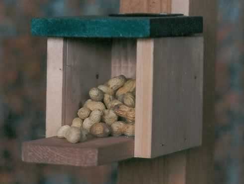 Looker Snack Box Squirrel Feeder