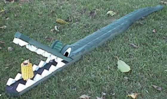 Looker Alligator Feeder Squirrel Feeder