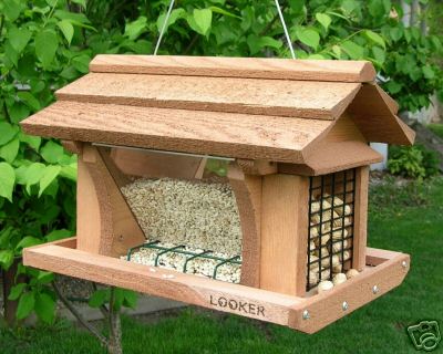 Looker 14 Inch Feeder with suet Feeder - Bird/Special