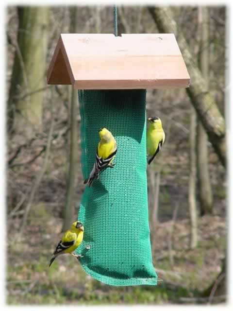 Looker Thistle Bag Feeder - Bird/Special