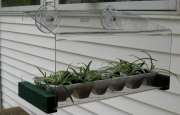 Looker WF-Greenhouse For the Window