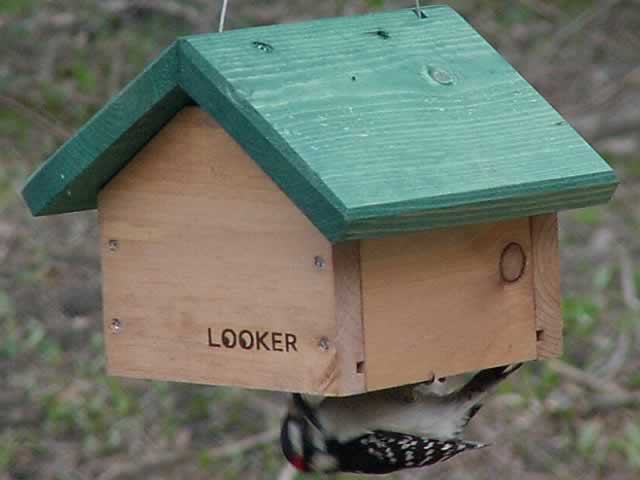 Looker Upside Down Suet Holder
