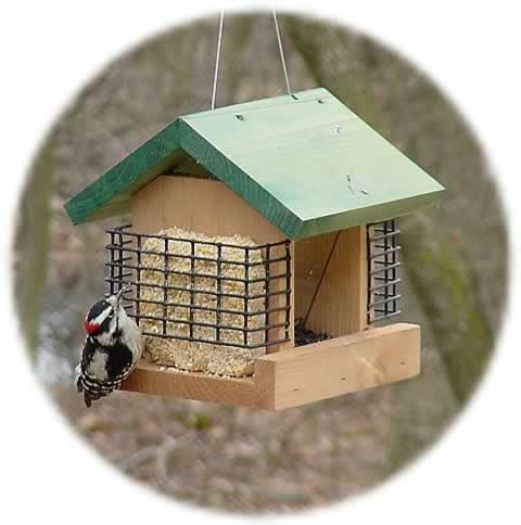 Looker 2 Suet and A Seed Suet Holder