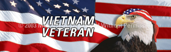 ClearVue Graphics Window Graphic - 16x54 Vietnam Veteran PAT-047-16-54
