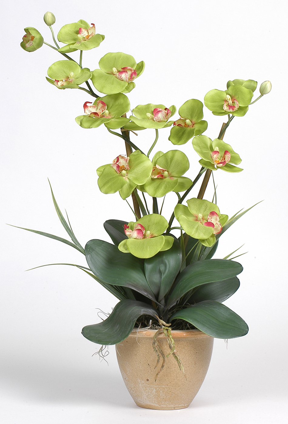 Nearly Natural 1026-I-GR Double Stem Phalaenopsis Silk Orchid Plant Green