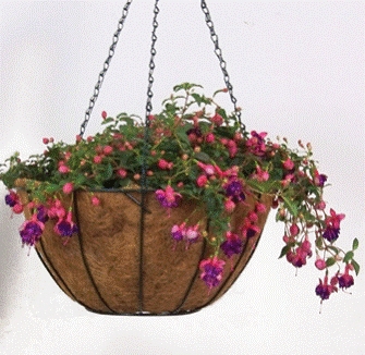 Bosmere F140 14 Inch Green Wire Hanging Basket with Chain and Green AquaSav Coco Liner