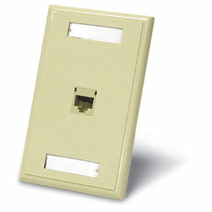 Cables To Go 27414 SINGLE CAT 5E RJ45 CONFIGURED WALL PLATE - WHITE