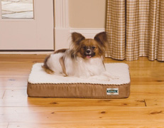 Pet Bed - Essential Pet PWB00-10900 Heated Wellness Bed - Small