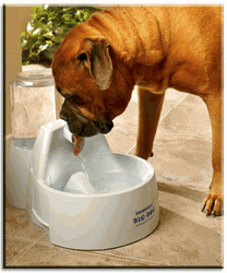 Essential Pet DOGC Drinkwell Big Dog Fountain