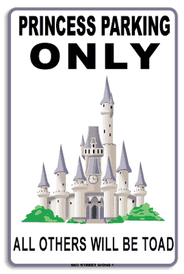 Seaweed Surf Co AA101 12X18 Aluminum Sign Princess Parking