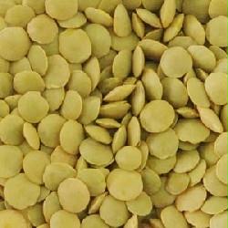 ORGANIC LENTILS - GREEN - 1 lb.