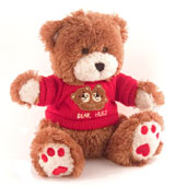 KJB C1250B24 TEDDY BEAR CAMERA B/W 2.4GHZ Covert Video Equipment